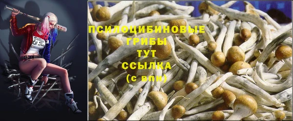 COCAINE Алзамай