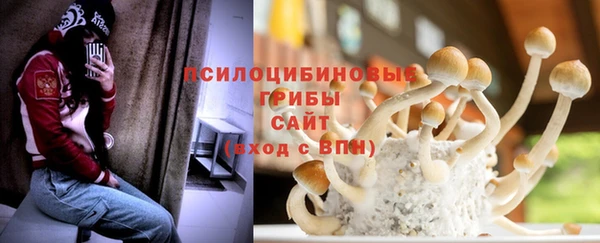 винт Алексин