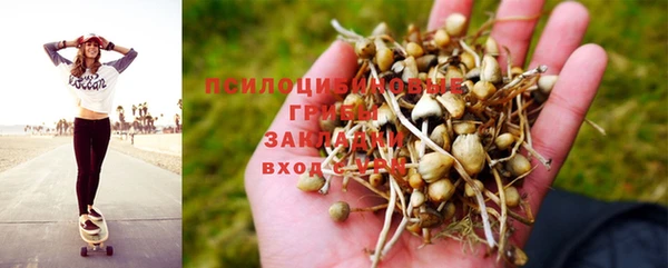 винт Алексин