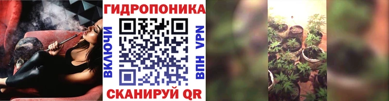 МАРИХУАНА семена  Мирный 