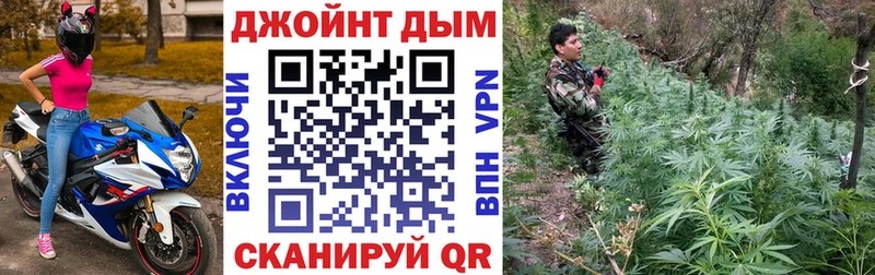Шишки марихуана конопля Мирный